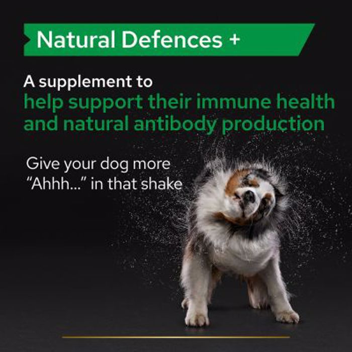 PRO PLAN Συμπλήρωμα Διατροφής Dog Adult Natural Defences Supplement 45 Δισκία PRO PLAN Sumpliroma Diatrofis Dog Adult Natural Defences Supplement 45 Diskia